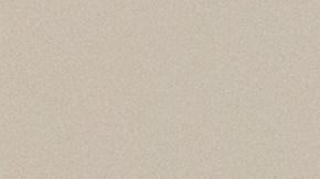 Las personas enfermas comieron hamburguesas Quarter Pounder de McDonald's.