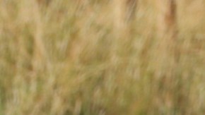 Raúl de Molina, presentador de televisión.