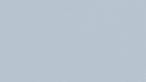 Ricardo Salinas Pliego.