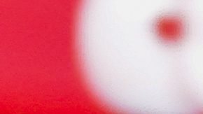 Aaron Rodgers y Robert Saleh.