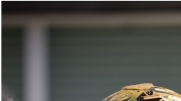 El equipo Swat negoció con el sospechoso hasta que lograron arrestarlo.