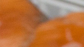 Las muestras de salmón dieron positivo para Listeria monocytogenes.