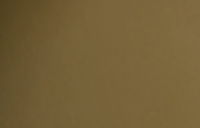 Sean "Diddy" Combs posando.