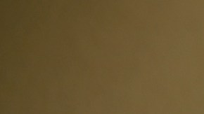 Sean "Diddy" Combs posando.