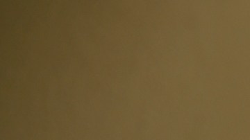 Sean "Diddy" Combs posando.