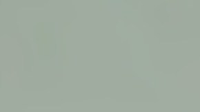 Sophia Rosing también le mordió la mano a un oficial de policía.