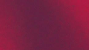 Starbucks trae nuevos sabores en el menú de invierno.