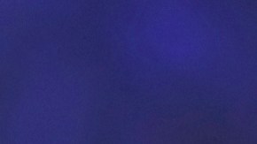 Tekashi 6ix9ine, rapero estadounidense.