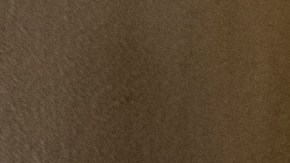 Tekashi 6ix9ine, rapero estadounidense.