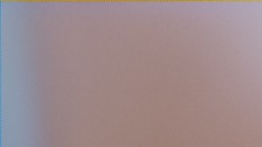 Con un conjunto de consejos puedes evitar que los tomates de dañen rápidamente.