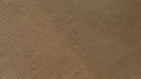 Por normas de seguridad alimentaria se debe evitar el consumo de vegetales, luego de la fecha de caducidad .