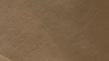 Por normas de seguridad alimentaria se debe evitar el consumo de vegetales, luego de la fecha de caducidad .