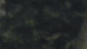 Las postales muestran lo que muchos sospechaban: ¡hay amor en el aire!