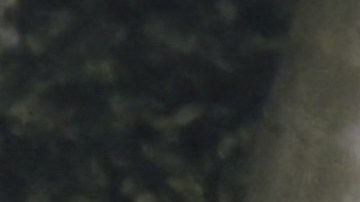 Las postales muestran lo que muchos sospechaban: ¡hay amor en el aire!