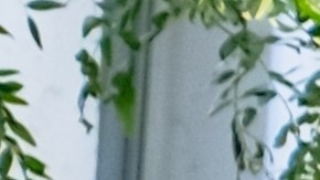 bank-of-america-falla-sistema-problemas