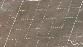 El huracán Milton amenaza a la Florida.