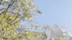 Los votantes llegan para emitir su voto durante la votación anticipada (Early Voting) en Georgia para las elecciones presidenciales de Estados Unidos.