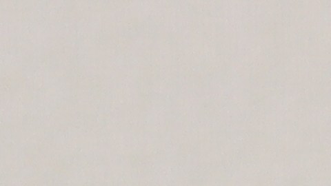 cheque-de-estimulo-500-dolares