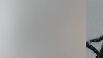 Hombre de Wisconsin mata a tiros a cajero en un local de pizza tras una discusión