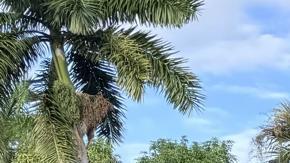 Una nevera flota sobre el agua en una calle inundada este jueves después del paso del huracán Milton en Fort Myers, Florida (EE.UU.).