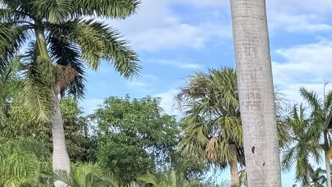 Una nevera flota sobre el agua en una calle inundada este jueves después del paso del huracán Milton en Fort Myers, Florida (EE.UU.).