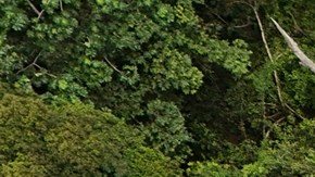 Murió ahogado al salvar a su madre: la tragedia de una familia venezolana en el Darién