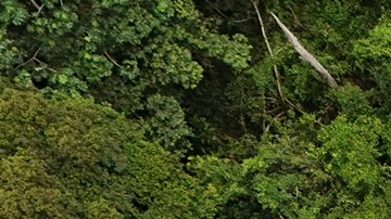 Murió ahogado al salvar a su madre: la tragedia de una familia venezolana en el Darién