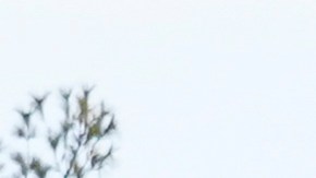 El producto de Dollar Tree es 75% más barato.