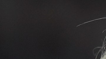 Trump podría dejar sin fondos la Seguridad Social de Estados Unidos en 6 años