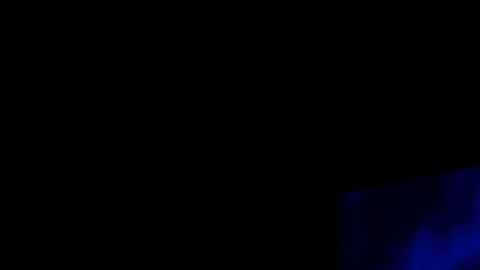 Kamala Harris aventaja a Donald Trump entre votantes latinos de los estados clave: encuesta