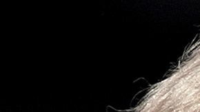 Kamala Harris y Donald Trump: encuestas de CNN y New York Times revelan empate muy ajustado