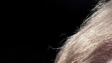 Kamala Harris y Donald Trump: encuestas de CNN y New York Times revelan empate muy ajustado