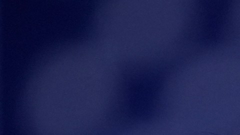 Trump critica a Beyoncé por solo “hablar un par de minutos” en mitin de Harris