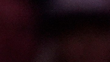 Madison Square Garden se desvincula de "chistes" racistas durante mitin de Trump