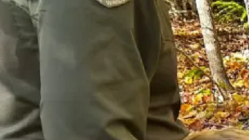 Excursionista desaparecida en Maine fue encontrada junto al cuerpo sin vida de su esposo