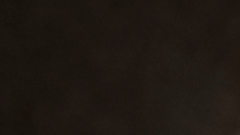 Bruce Willis permanece alejado del ojo público tras su diagnóstico de demencia frontotemporal.