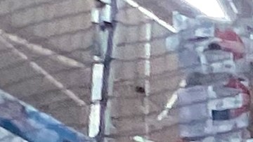 home-depot-7-secretos