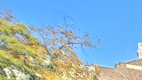 Un bus con material informativo recorrerá esta semana los vecindarios más vulnerables.