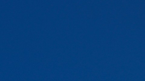 recibieron cientos de miles de dólares en criptomonedas