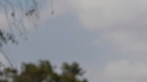 Jefe del Estado de Israel: El 7 de octubre fallamos en la misión de proteger a nuestros ciudadanos