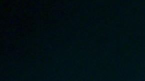 El galardón se otorga a quienes han hecho contribuciones significativas y han inspirado a las futuras generaciones.