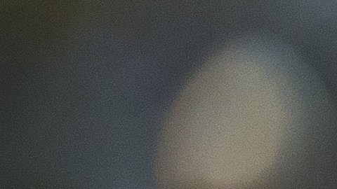 Las discusiones sobre una posible demanda están en curso y su equipo actual está dividido.