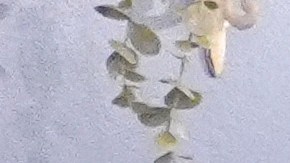 ¿Qué incluye el plan de Kamala Harris para Puerto Rico?