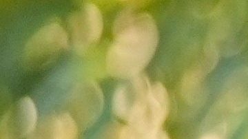 La aparición de Kate generó un gran revuelo en las redes sociales.