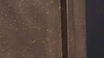 Lisa Marie decidió conservar el cuerpo de Benjamin en su hogar durante dos meses antes de enterrarlo.