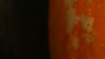 loteria-carolina-del-norte-150-mil-calabazas