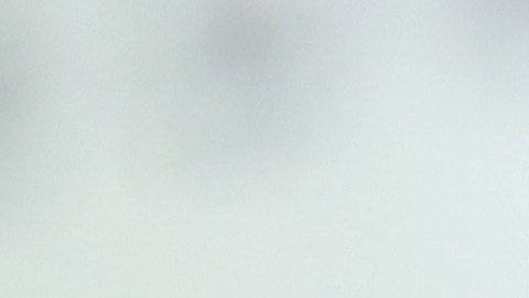 loteria-virginia-premio-800-mil