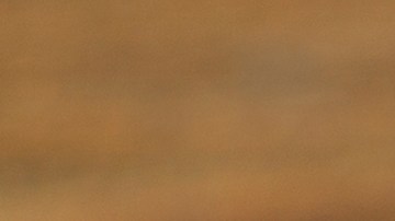 El jugo de manzana y zanahoria aporta buena calidad de fibra que ayuda a generar saciedad y a retardar el hambre.