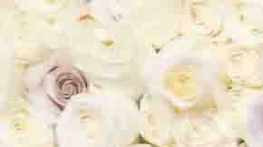 Marlon Wayans posando