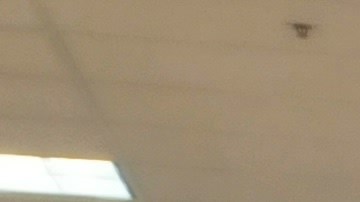 marshalls-productos-lujo-octubre-2024